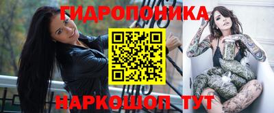 молекула духа Кандалакша